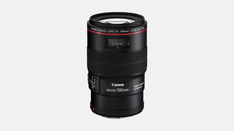 A black Canon EF 100mm f/2.8L Macro IS USM lens with a red ring near its mount is presented upright against a plain light gray background