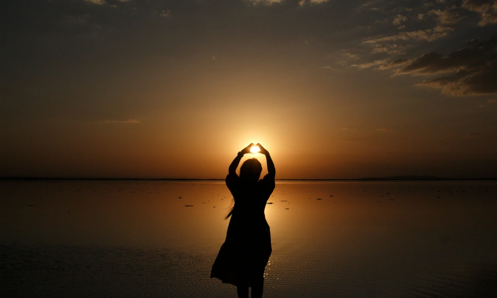 Dramatic Silhouette at Sunset
